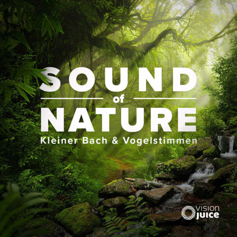 nature sound birds schuman frequenz Vision Juice - Heilfrequenzen und Klangmassagen mit Binauralen Beats
